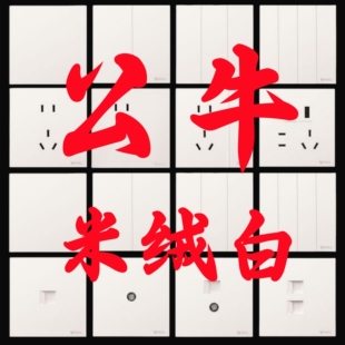 公牛G56米绒白色超薄开关插座五孔一开16a面板哑光蝶翼磨砂5孔3孔