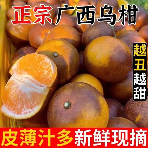 【包甜】乌柑广西正宗非洲柑黑沃柑脏脏柑武鸣3/5/9斤新鲜水果