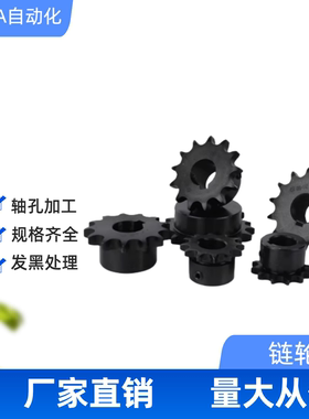 链轮SP50B25-N-24/25/28/30/SP50B25-N-32/35/38/40/SP50B25-N-45