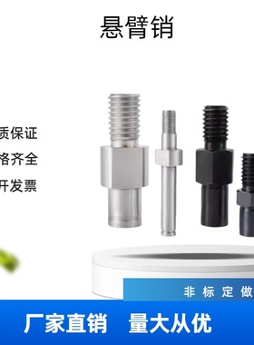 悬臂销六角型标准扣环型 PLXNAA/3/4/5/6/8/10/12/13/15/16/17/18