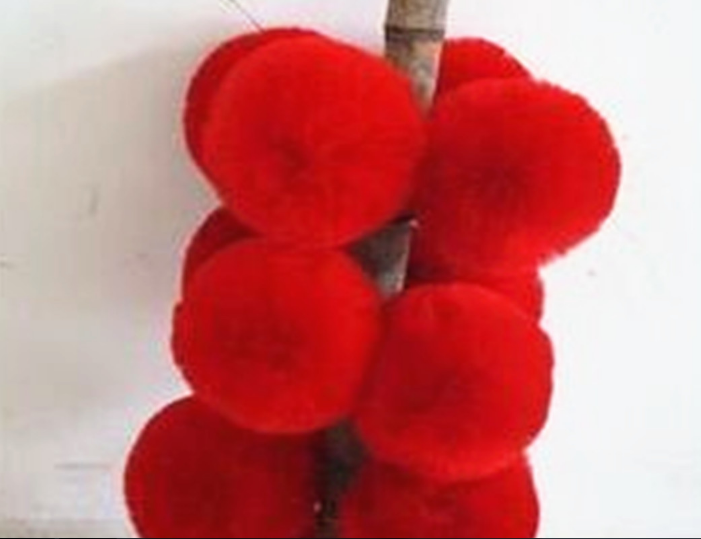 Perruque - Ref 2612350 Image 3