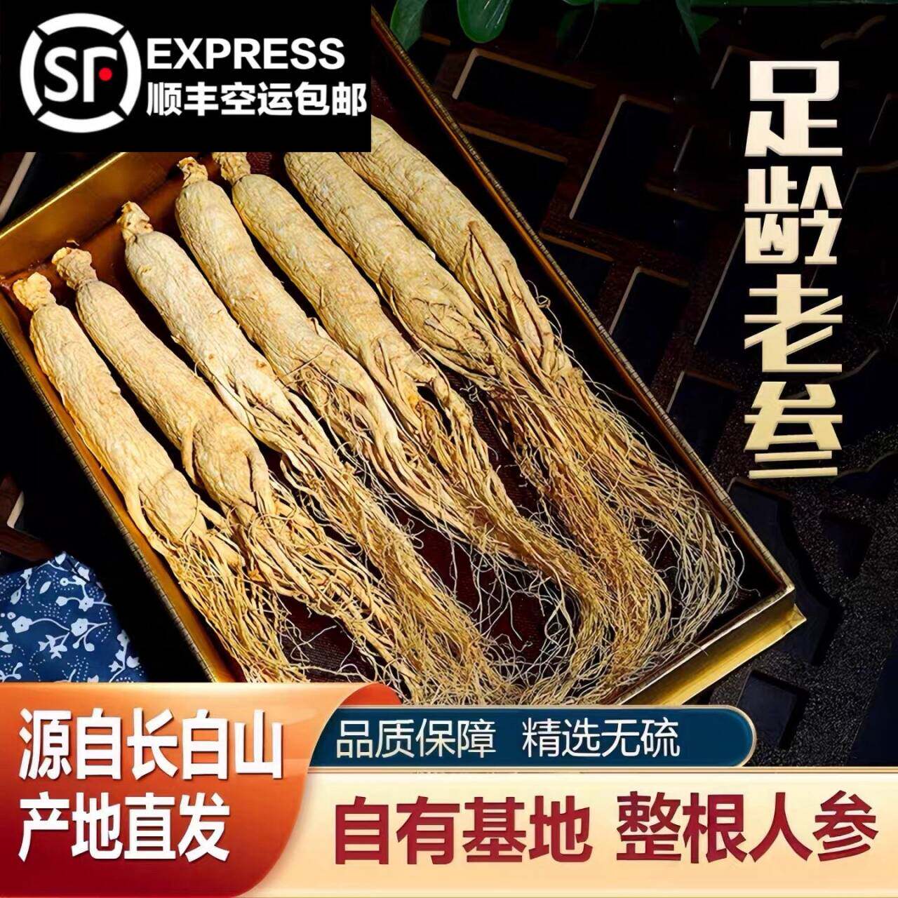 【今日特价】八年生晒参500g东北人参长白山野山参白参人参中药材