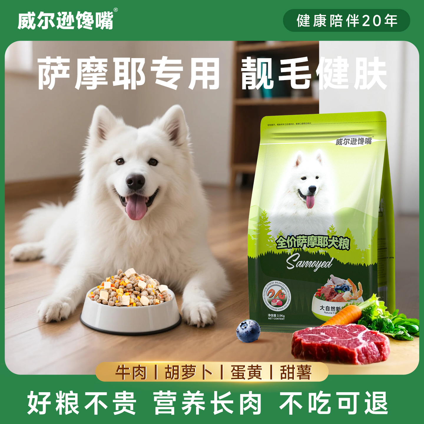 威尔逊馋嘴萨摩耶美毛冻干幼犬