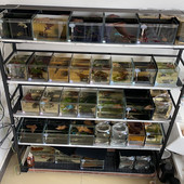 养殖电热膜10cm20厘米30公分40cm鱼蛇蜥蜴守宫宠物发热板定制 包邮