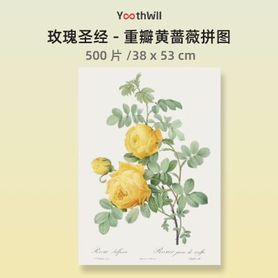 玫瑰拼图YouthWill高难度拼图