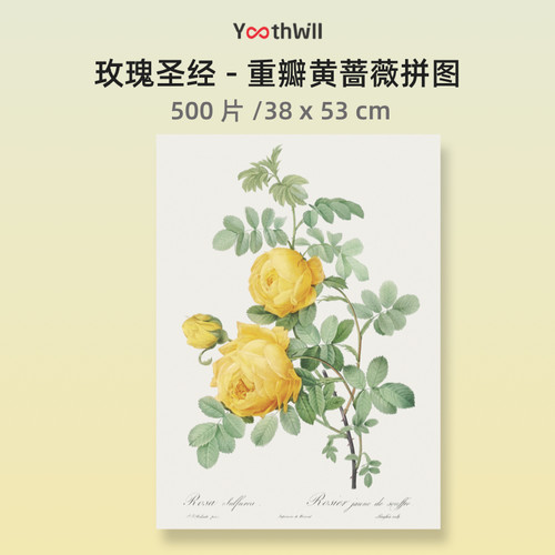 玫瑰拼图YouthWill高难度拼图