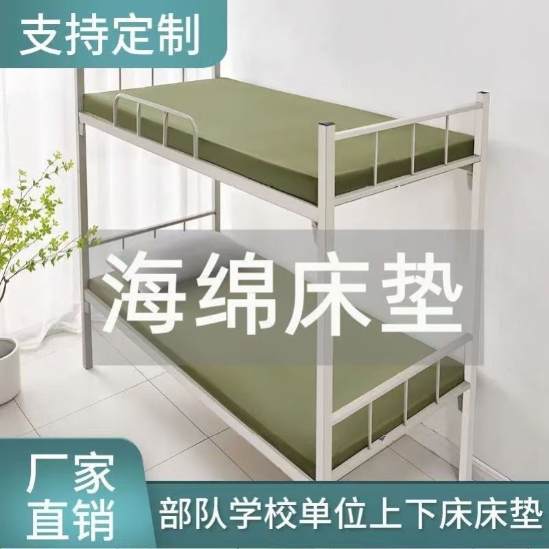 定制绿色学校员工宿舍单人上下