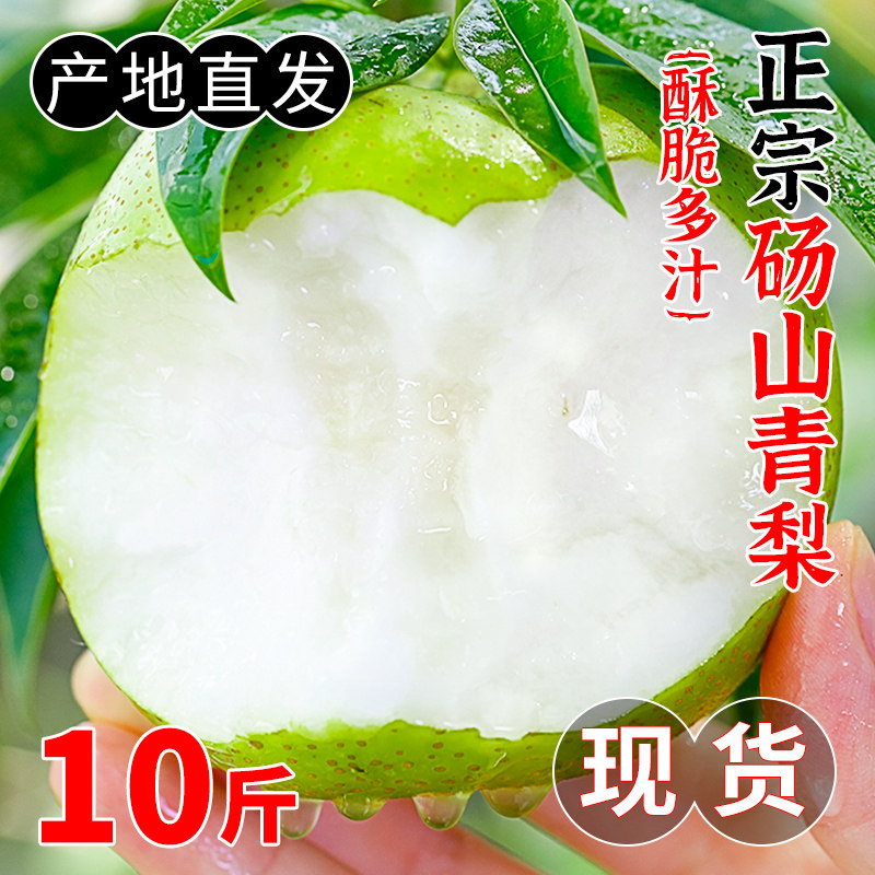 梨子青梨10斤砀山皇冠梨当季新鲜水果水晶蜜梨雪梨青皮梨整箱翠冠怎么样,好用不?