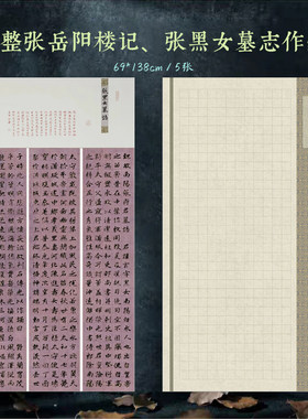 四尺整张范仲淹岳阳楼记作品纸张黑女墓志铭宣纸4cm方格楷书行草