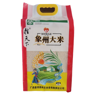 新米桂天下象州香米大米5千克/袋
