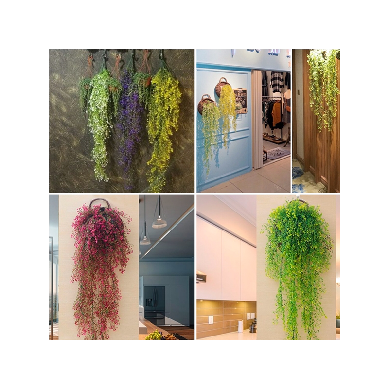 金钟悬挂垂吊墙面室内藤蔓植物