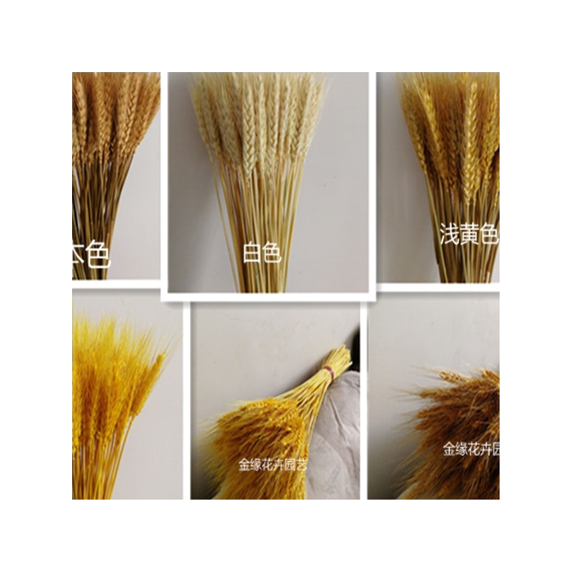 ins花束套装 松果麦穗橡果干花装饰干莲蓬摆件木棉花兔尾草带花瓶