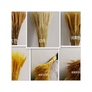 ins花束套装 松果麦穗橡果干花装饰干莲蓬摆件木棉花兔尾草带花瓶