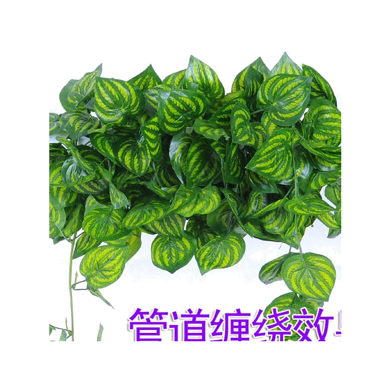 绿色植物塑料水暖气壁挂西瓜叶