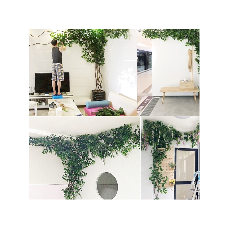 藤蔓室内客厅墙面阳台管道树叶