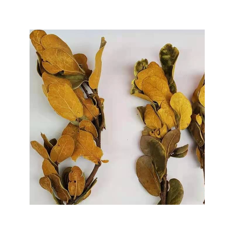松果木片树叶干花干果圣诞复古