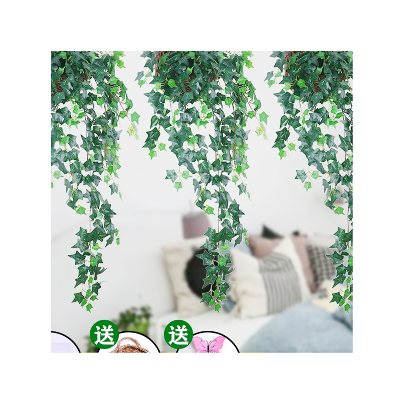 爬藤植物户外客厅吊篮阳台装饰花
