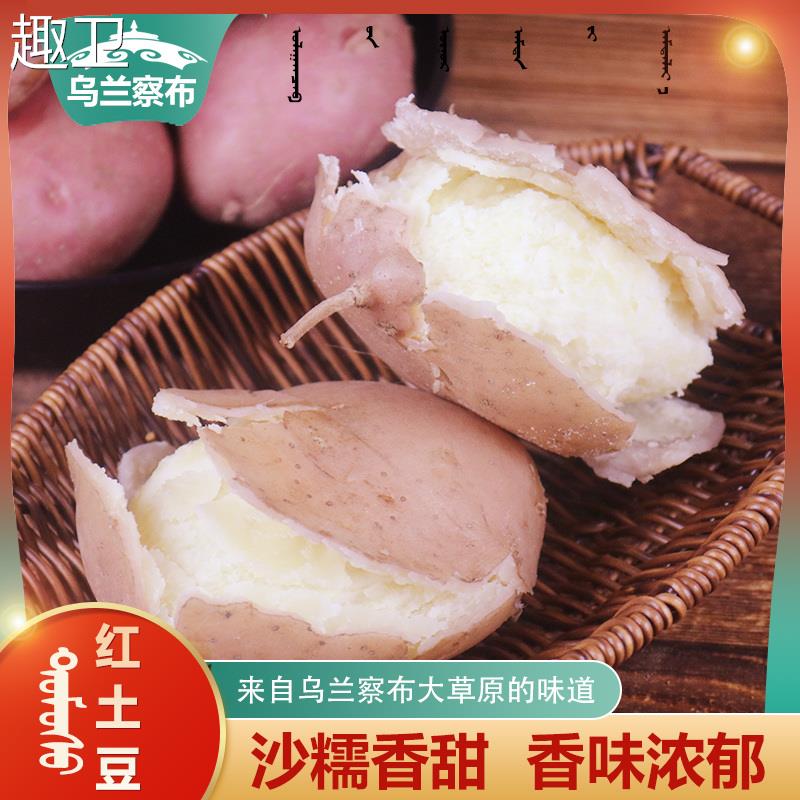 新大土豆内蒙古察右后旗