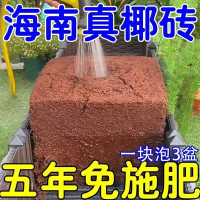 椰砖营养土种菜通用型脱盐椰糠大块耶砖土乌龟冬眠养花土壤种植土