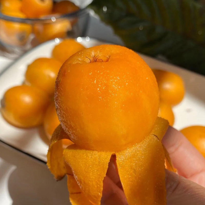 阳光米易枇杷新鲜大果5斤四川攀枝花野生五星早钟甜琵琶当季水果,水产肉类/新鲜蔬果/熟食,枇杷,淘宝优惠券,粉丝福利购,淘宝优惠卷