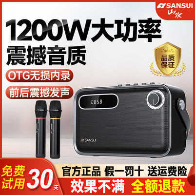 山水大功率蓝牙手提音箱