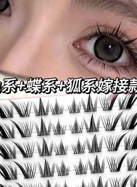 三合一睫毛小天才!圆眼斜飞款免胶假睫毛自然仿真超软欧美拽姐