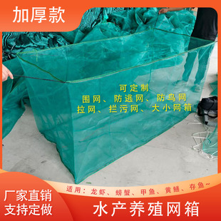 10目加盖存鱼网箱养鱼水产养殖鱼网小鱼养殖孵化育苗泥鳅黄鳝网箱