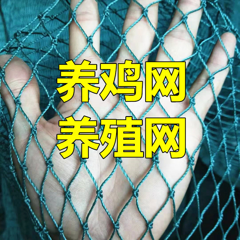 家禽养殖网养鸡网山鸡网拦鸡网防鸟网网护栏网爬藤网天网果园围网