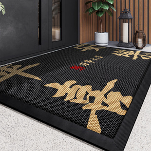 进门地垫2025新款TPE耐脏免洗高端门口防滑脚垫高级感入户门地毯