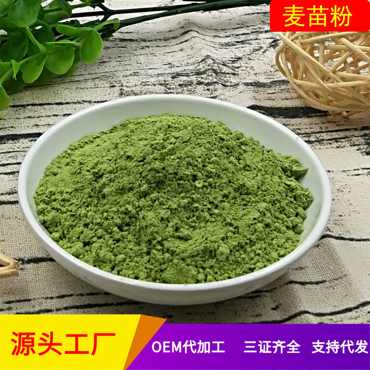 大麦若叶青汁粉 大麦苗粉 破壁100目大麦草粉 500克起批