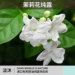茉莉花细胞液天然护肤保湿纯露面部美容院爽肤水滋润厂家批发