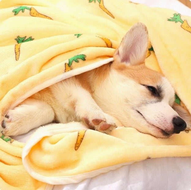 宠物秋冬季毛毯猫窝狗窝垫子泰迪幼犬小狗被子日系简约卡通图案,宠物/宠物食品及用品,猫狗垫子,淘宝优惠券,粉丝福利购,淘宝优惠卷