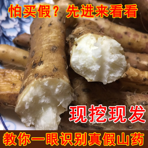 垆土铁棍山药河南焦作正宗怀山药