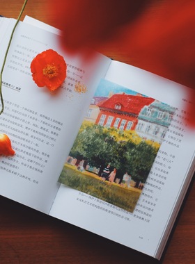 灼热Flaming现货Summer Garden夏日花园书签套装硫酸纸轻薄小礼物