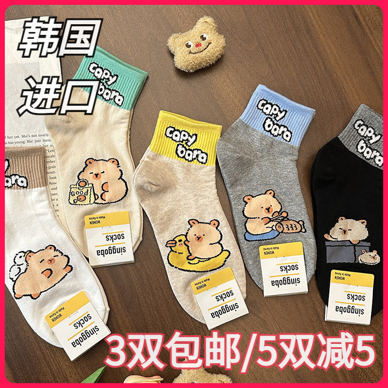 韩国singgoba进口女袜春夏卡通卡皮巴拉拼色短腰棉袜运动东大门新