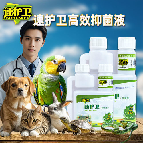 鹦鹉猫狗兔子龟蛇专业消毒杀菌