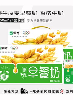 2箱【12月】蒙牛早餐奶核桃/麦香味250mL*24盒整箱营养健康早餐奶