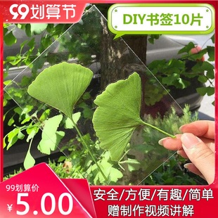 树叶标本膜塑封膜冷裱膜a3a4a6手工diy制作照片植物书签冷表膜6