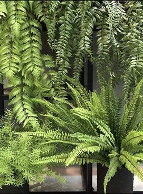 高端假花草装饰蕨类绿植物绿色假草坪仿真松树室内外石头摆件造景