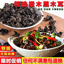 东北黑木耳干货长白山特产秋木耳凉拌小木耳碗耳散装肉厚云耳500g