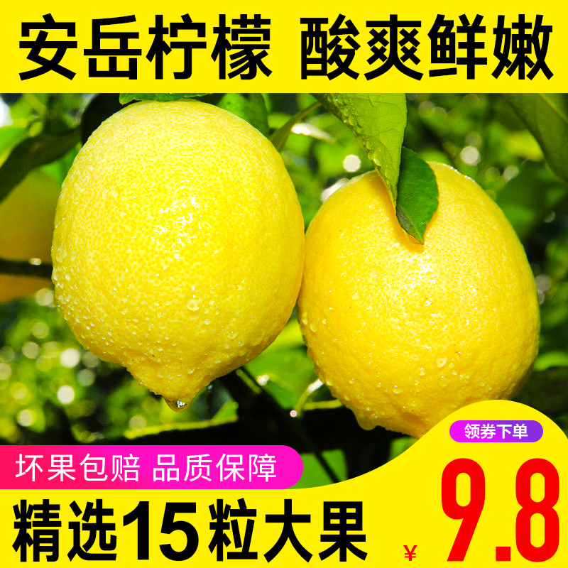 【聚小美】四川安岳柠檬新鲜水果当季应季黄柠檬整箱15粒包邮批发