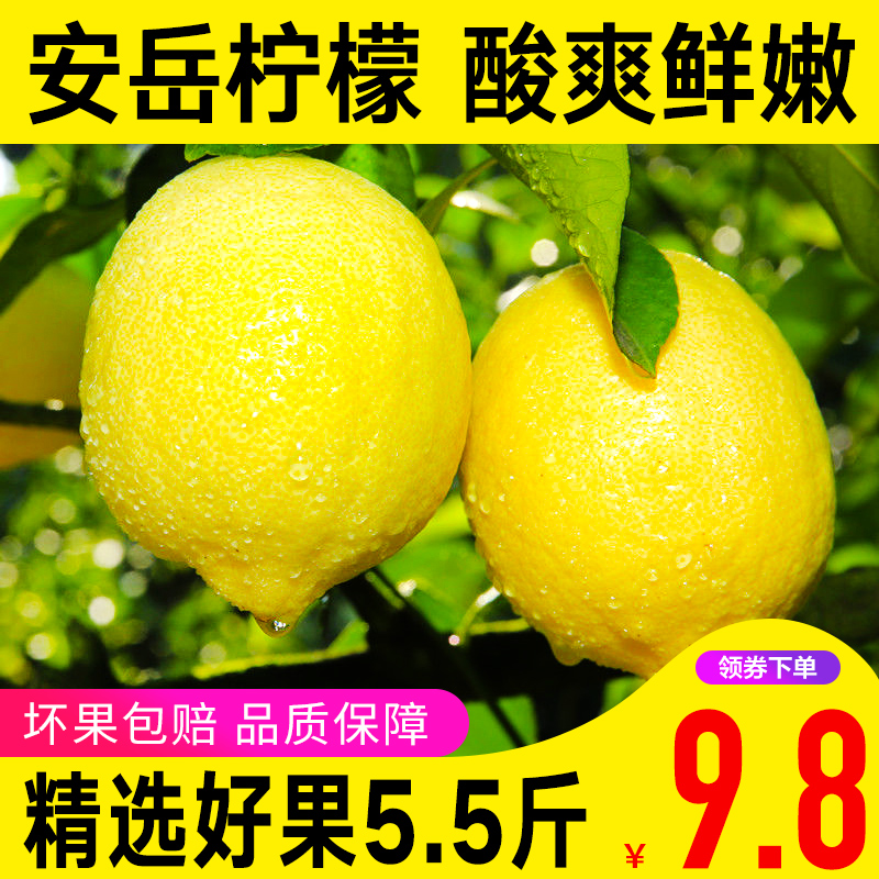 【聚小美】四川安岳柠檬 新鲜水果当季黄柠檬净重5.5斤包邮批发特