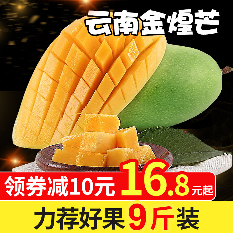 【聚小美】云南金煌芒果 当季水果应季芒果新鲜整箱9斤装批发包邮|msdalam kategori daging perikanan/Buah-buahan segar dan sayur-sayuran/dimasak, buah-buahan segar, Mango - dari Buy2taobao.com untuk memberikan perkhidmatan ejen Taobao profesional membeli