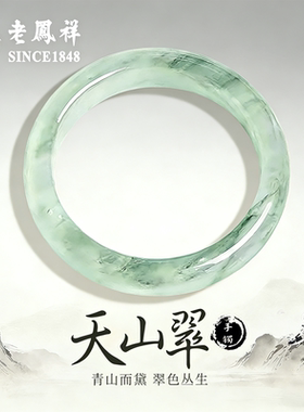 老凤祥天山翠玉手镯女款冰种飘花