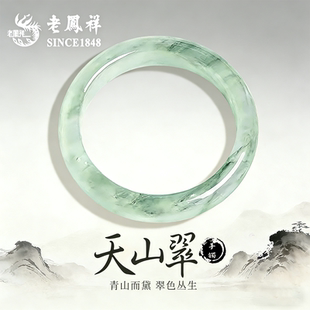 老凤祥天山翠玉手镯女款冰种飘花玉镯子天然玉石生日礼物送女友
