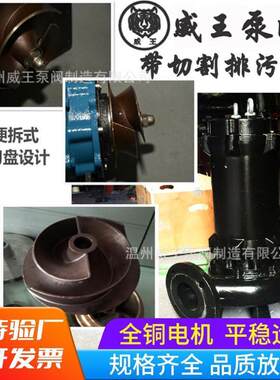 带切割排污泵合金铰刀粉碎切割污水泵无堵塞式潜水排污潜污泵灌溉