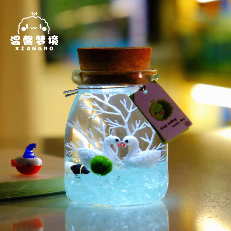 幸福海藻球微景观生态瓶玻璃瓶迷你盆栽创意礼物水培植物