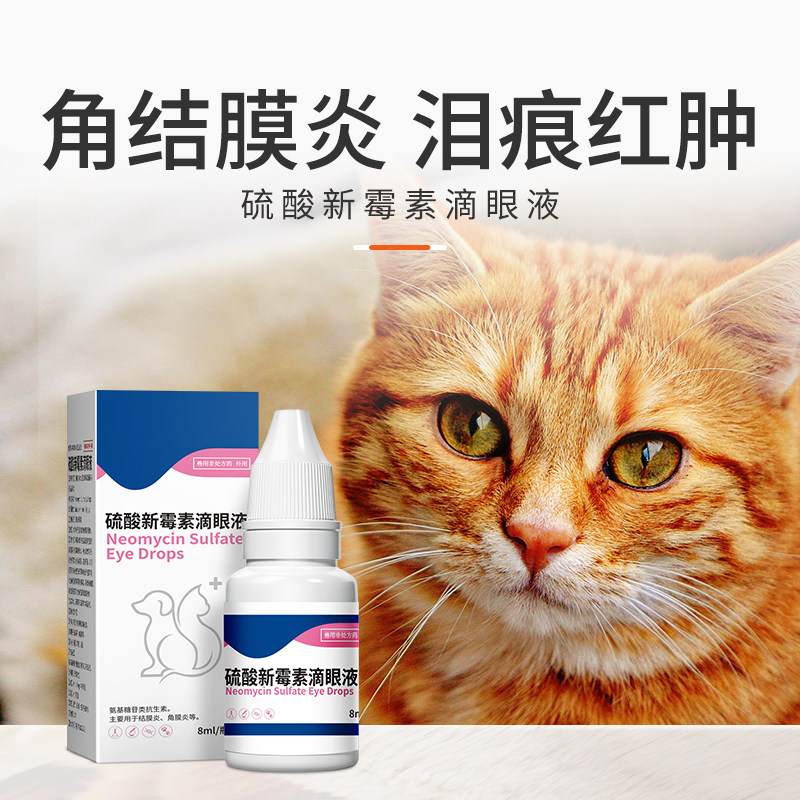 宠物猫咪眼药水消炎眼睛发炎流泪硫酸新霉素滴眼液马拉色菌猫专用