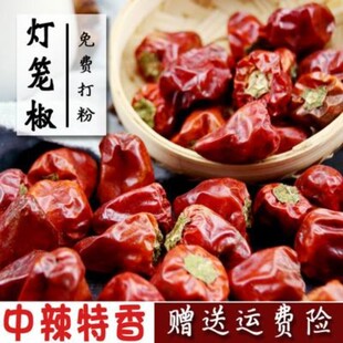 中辣特香贵州灯笼辣椒新货香辣中辣灯笼椒干辣椒草莓椒辣椒粉500g