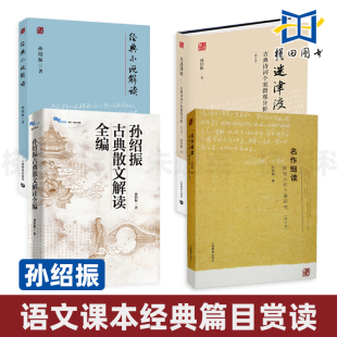 孙绍振文本细读专著 古典散文解读+月迷津渡 古典诗词个案微观分析+名作细读+经典小说解读 中学语文教师阅读教学实践指导研究